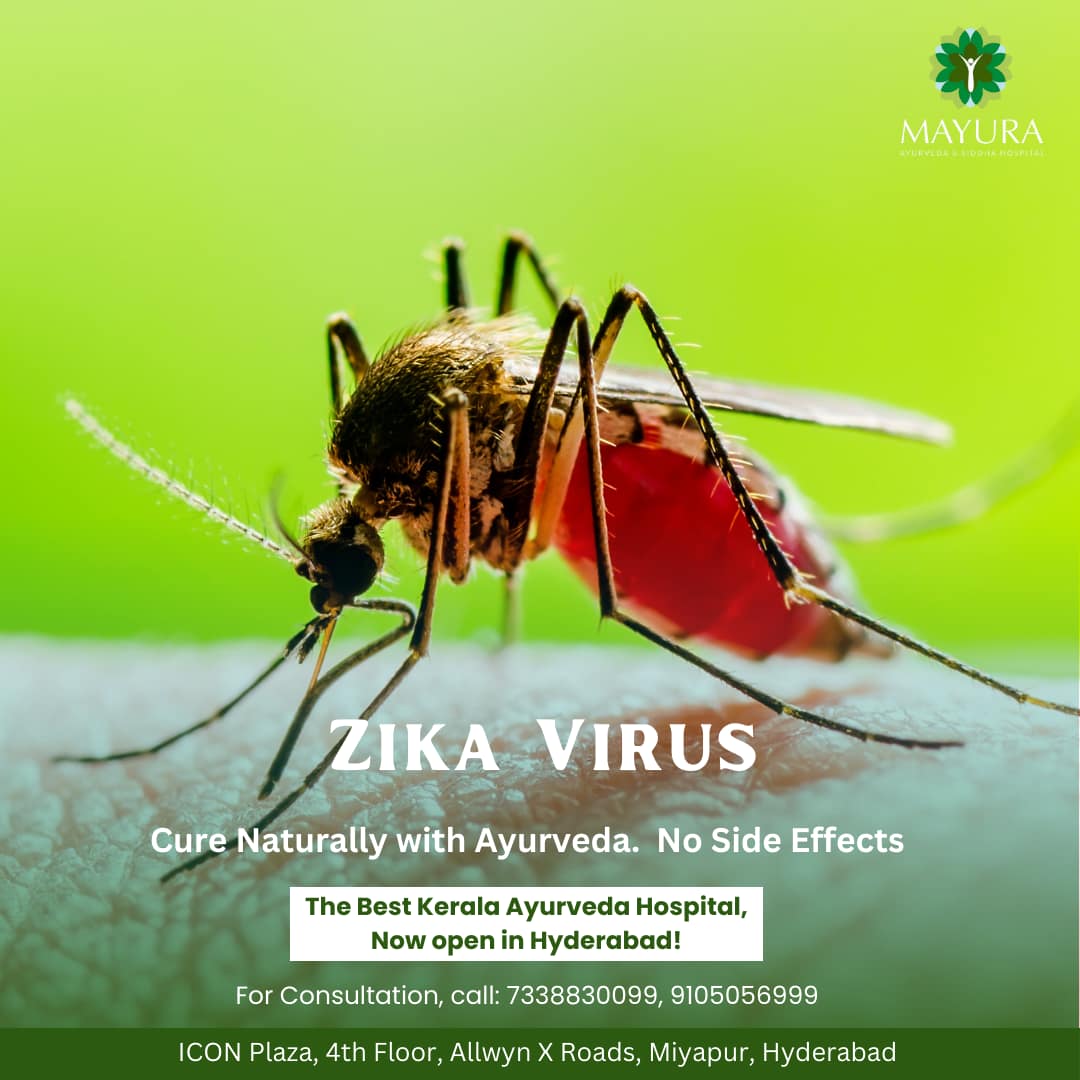 Zika Virus