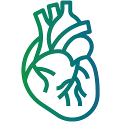 ayurvedic cardiac care